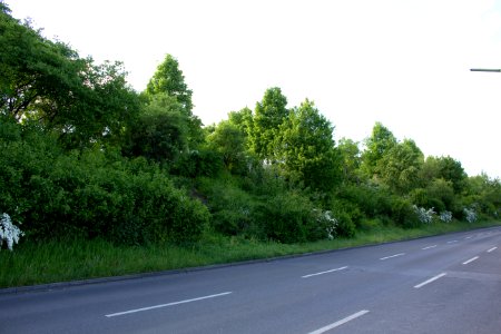 Lichtenrader Damm, Güteraußenringbrücke 20140503 76