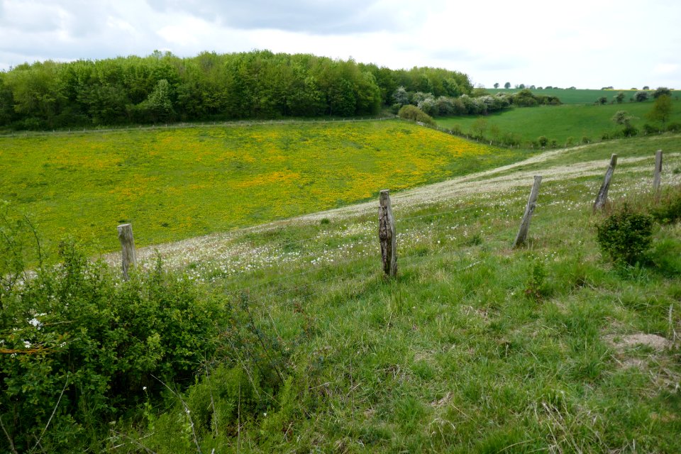 Lichtenau - Geimer Berg - 17