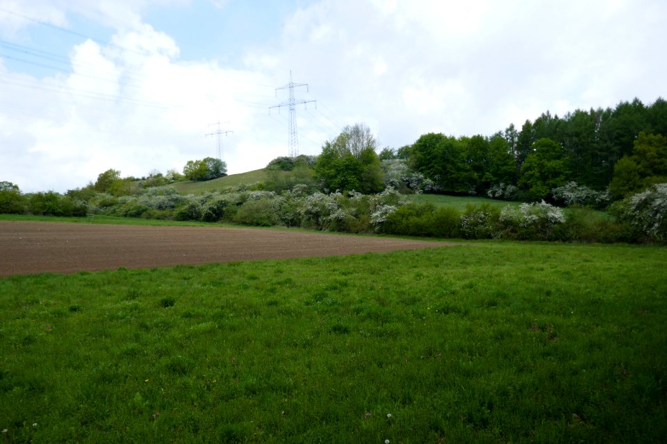 Lichtenau - Geimer Berg - 03