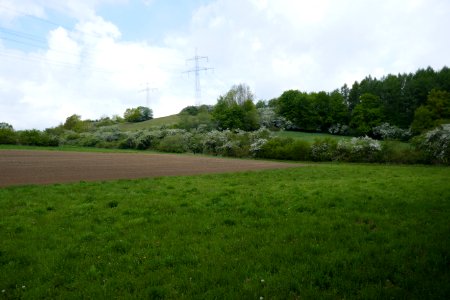 Lichtenau - Geimer Berg - 03