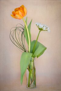 Flower vase spring flowers cut flowers photo