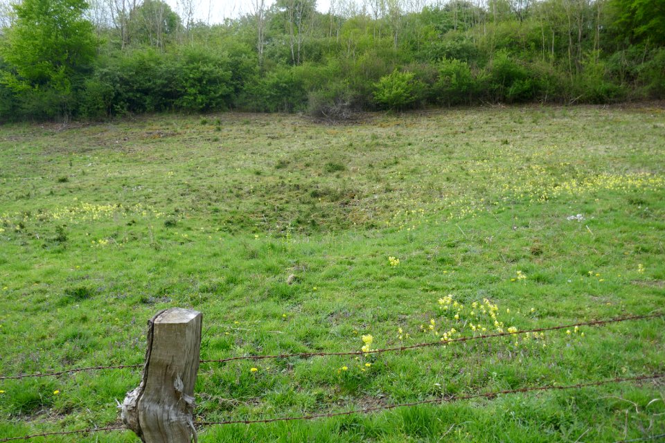 Lichtenau - Geimer Berg - 11