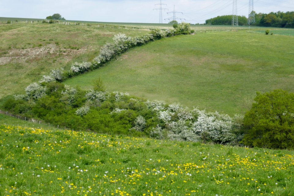 Lichtenau - Geimer Berg - 25