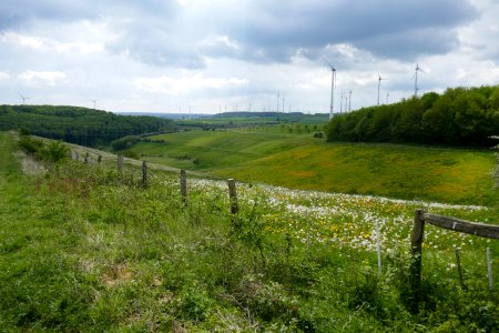 Lichtenau - Geimer Berg - 19