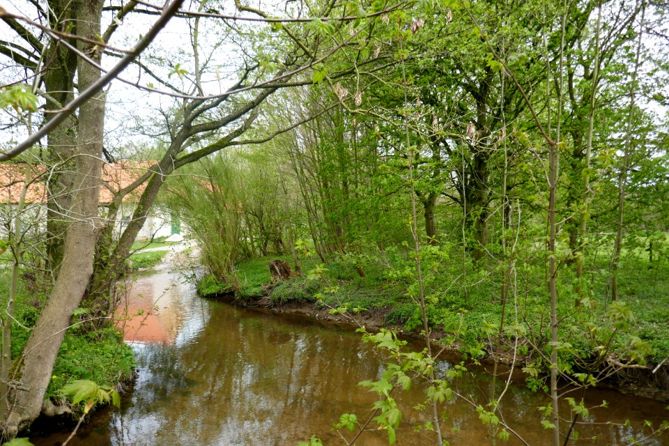 Lichtenau - NSG Sauertal - 02