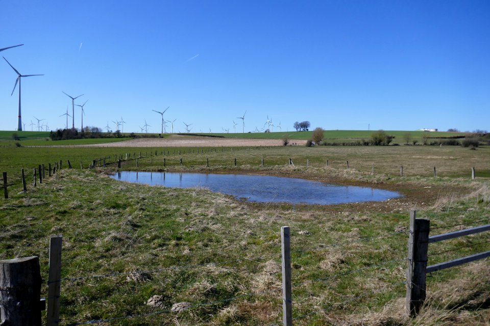 Lichtenau - NSG Eselsbett und Schwarzes Bruch - 3