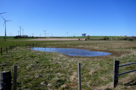 Lichtenau - NSG Eselsbett und Schwarzes Bruch - 3