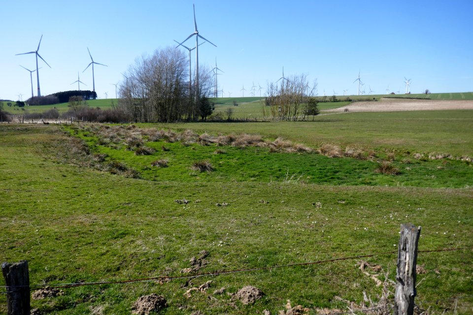 Lichtenau - NSG Eselsbett und Schwarzes Bruch - 4