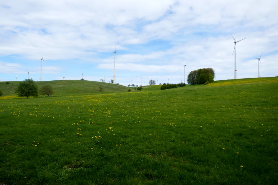 Lichtenau - NSG Sauertal - 12