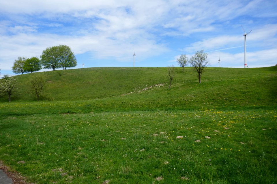 Lichtenau - NSG Sauertal - 09