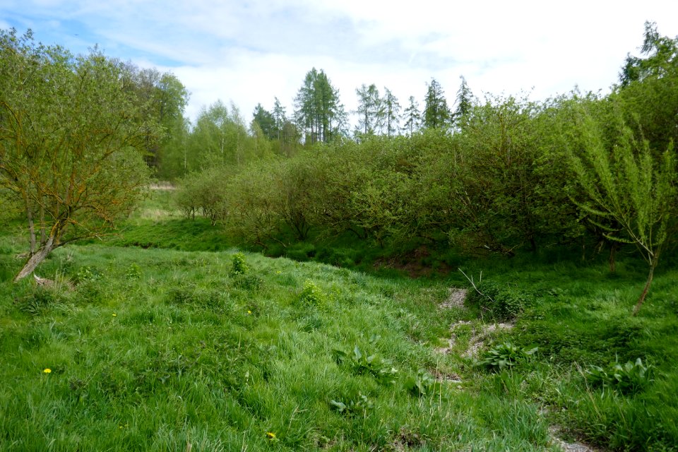 Lichtenau - NSG Sauertal - 08
