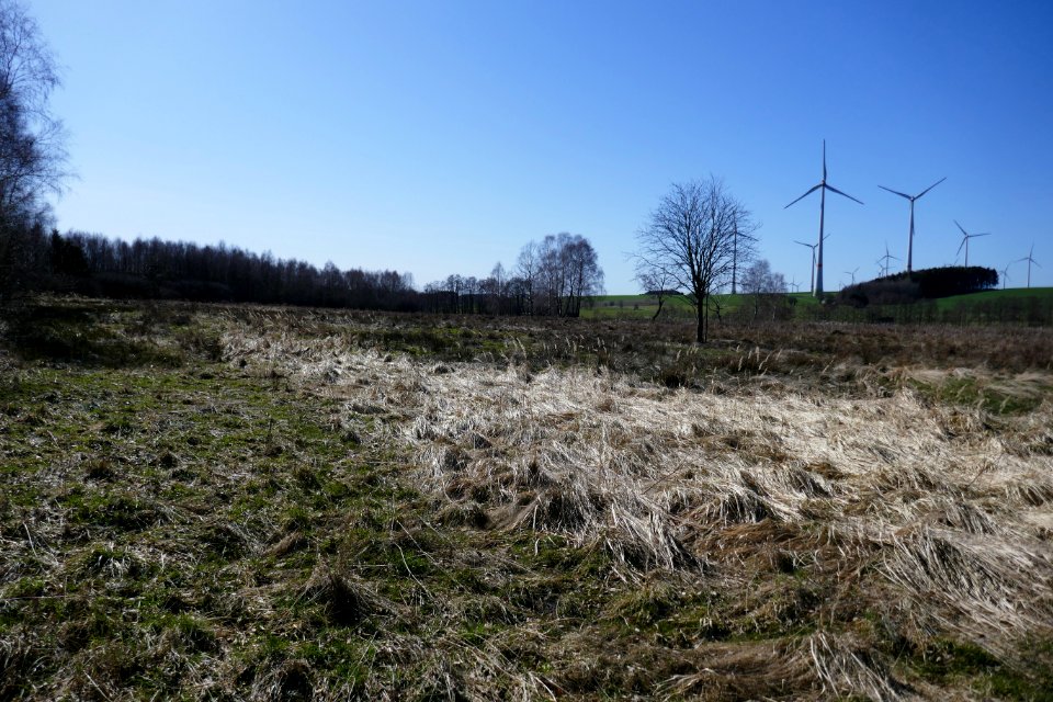 Lichtenau - NSG Eselsbett und Schwarzes Bruch - 6