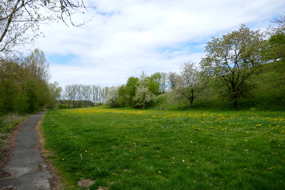 Lichtenau - NSG Sauertal - 10