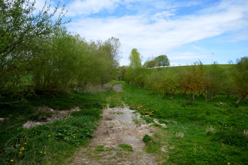Lichtenau - NSG Sauertal - 07