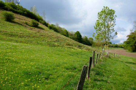 Lichtenau - Geimer Berg - 09