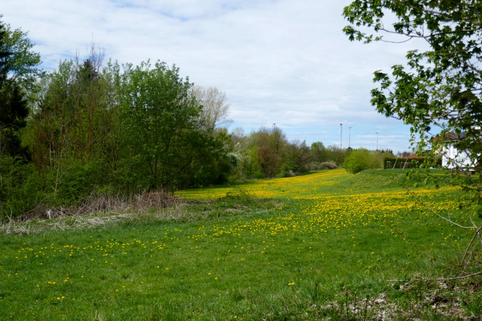 Lichtenau - NSG Sauertal - 03