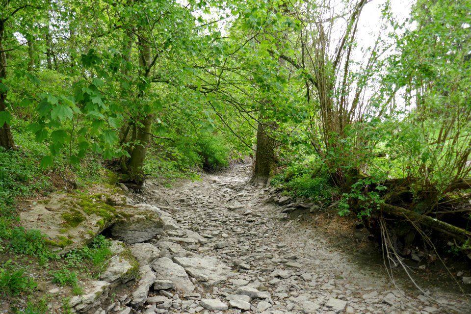 Lichtenau - NSG Sauertal - 05