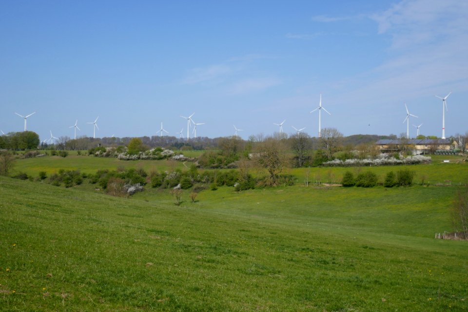 Lichtenau - Sauertal zwischen Lichtenau und Iggenhausen - 3