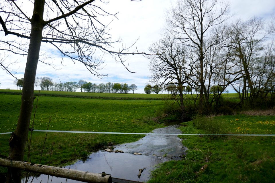 Lichtenau - NSG Sauertal - 01