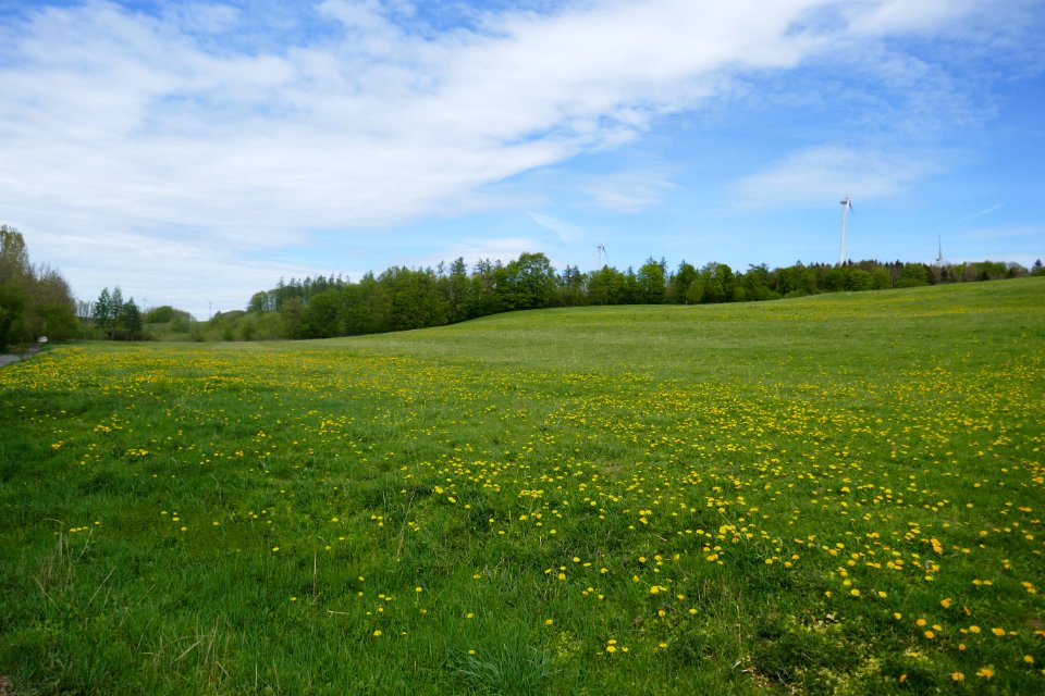 Lichtenau - NSG Sauertal - 11
