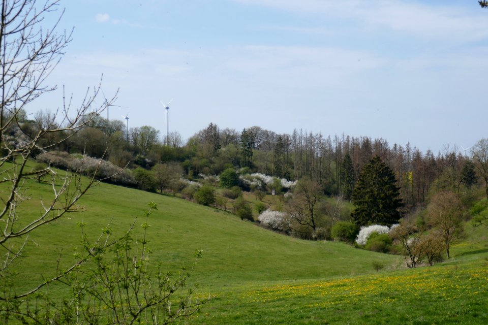 Lichtenau - Sauertal zwischen Lichtenau und Iggenhausen - 2