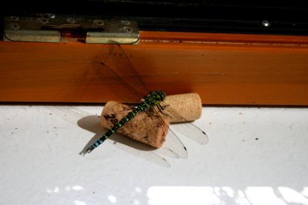 Libelle auf Korken