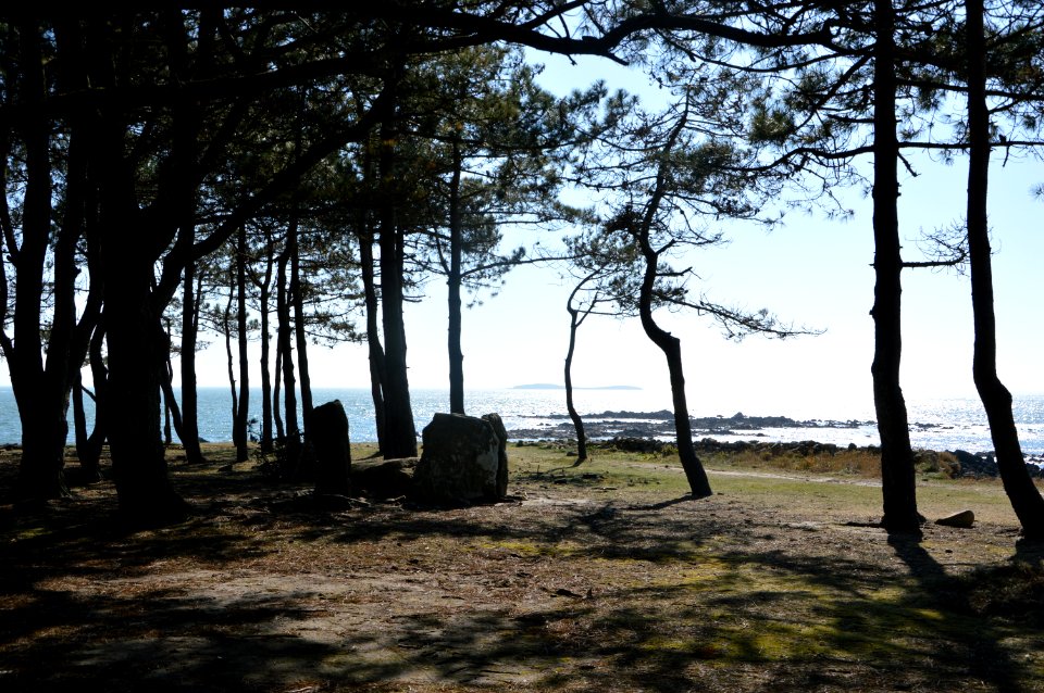 Locmariaquer-dolmen