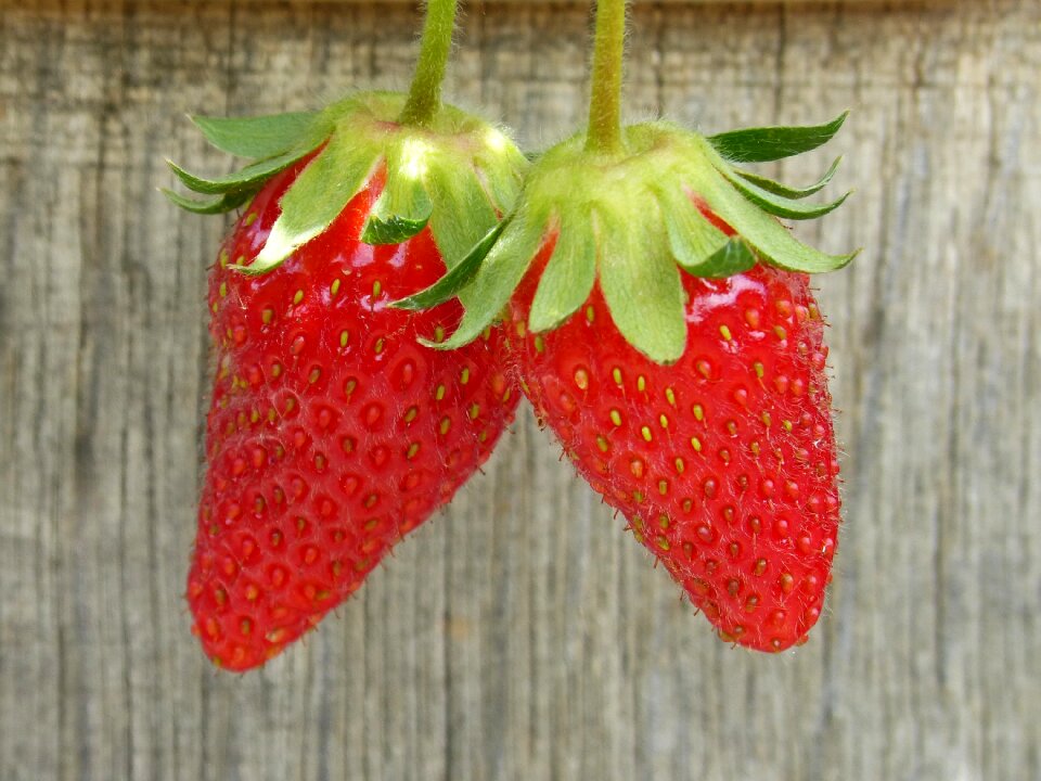 Fruit red sweet