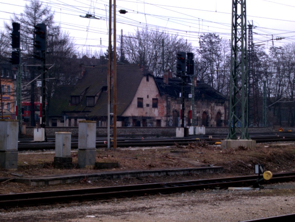 Lockschuppen6