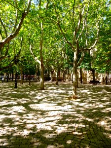 Logroño - Jardines del Instituto Sagasta 03