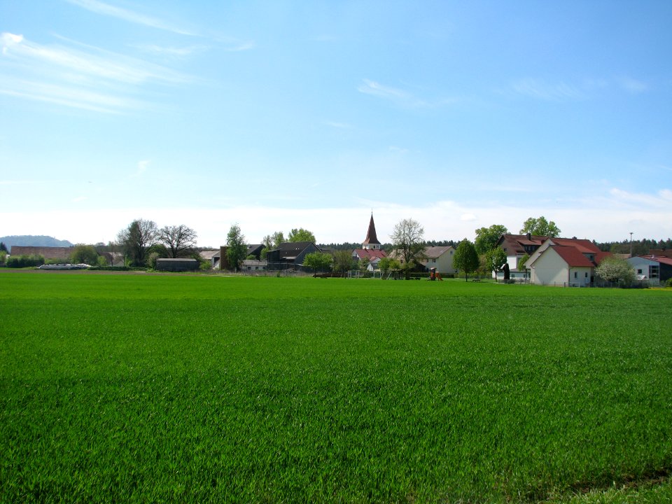 Loderbach (Berg NM) (15)