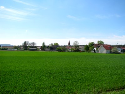 Loderbach (Berg NM) (15)