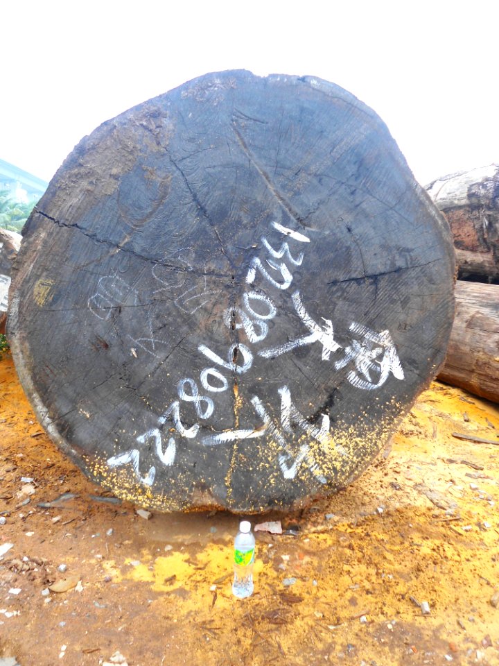 Logs for sale in Haikou - 08