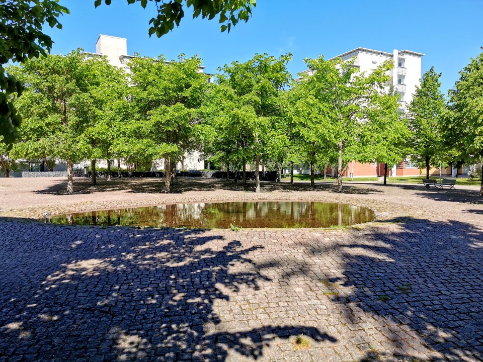 Lohenpyrstö Oulu 20190616 01