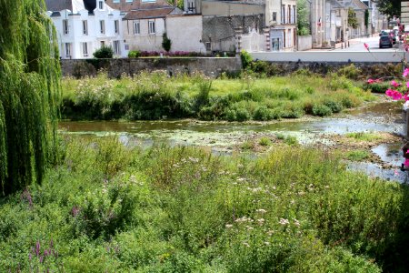 Loing Montargis 4