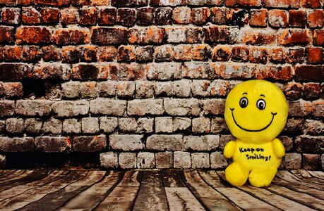 Funny plush emotion