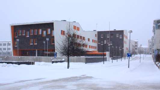 Lohipato School Oulu 20100131