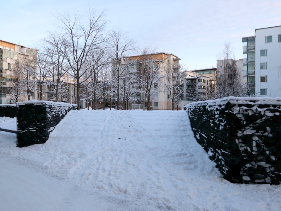 Lohenpyrstö Oulu 20210103