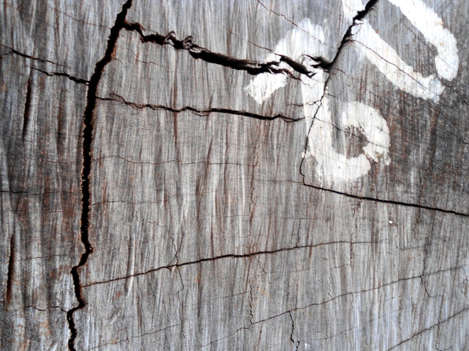 Logs for sale in Haikou - 12