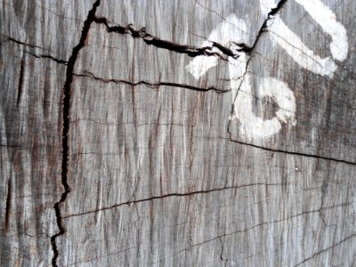 Logs for sale in Haikou - 12