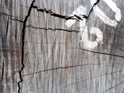 Logs for sale in Haikou - 12 photo