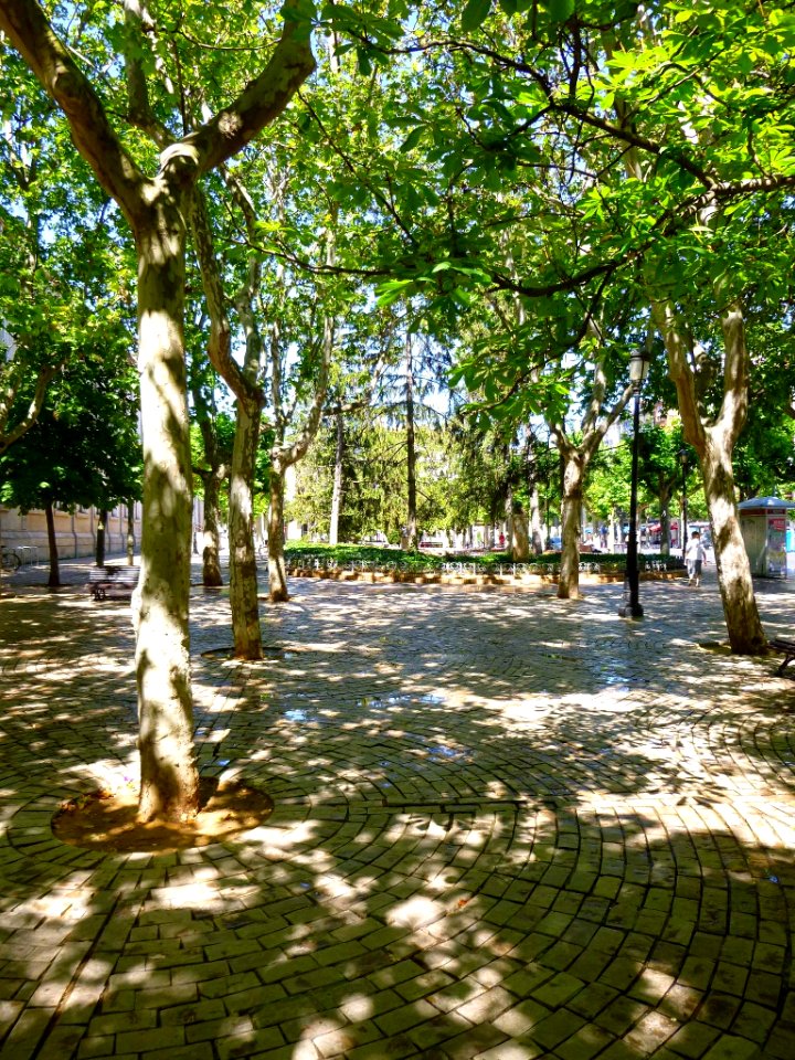 Logroño - Jardines del Instituto Sagasta 04