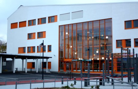 Lohipato School Oulu 20101031b
