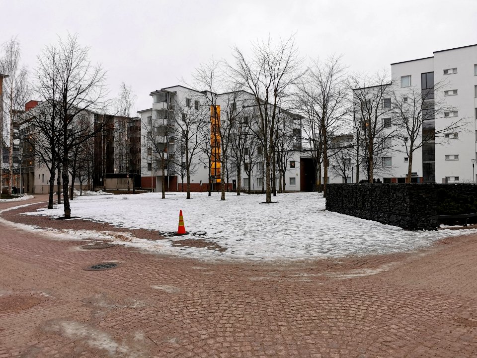 Lohenpyrstö Oulu 20201211