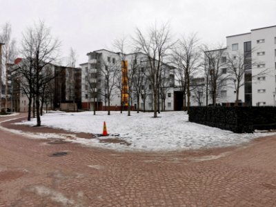 Lohenpyrstö Oulu 20201211