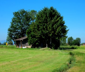 Lohbach historische Versickerungsstelle bei Laimgrub
