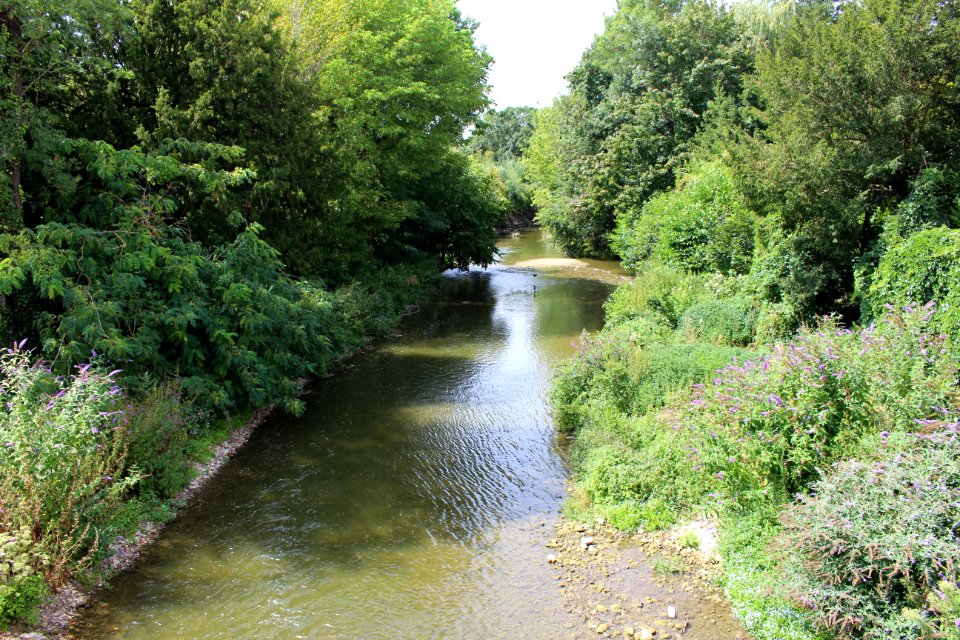 Loing Montargis 1