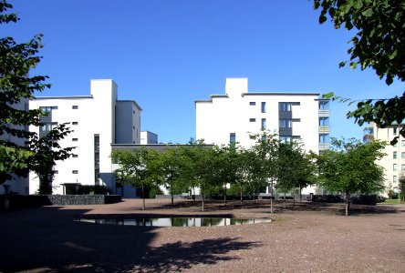 Lohenpyrstö Oulu 20070819