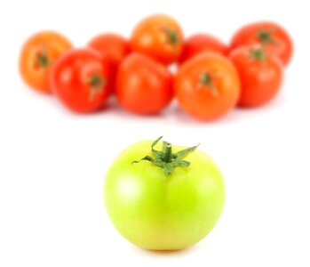 Green red white background