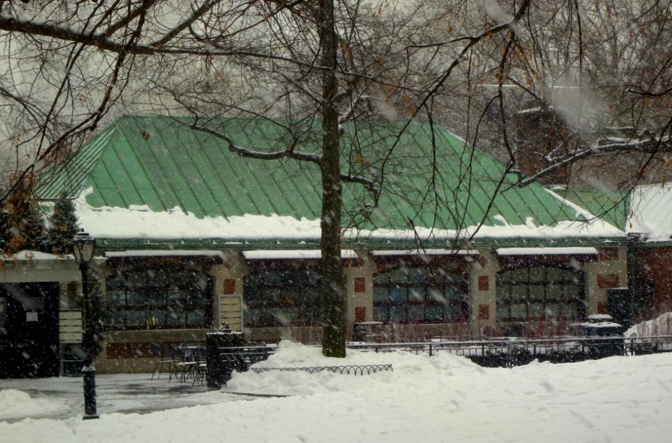 Loeb Boathouse snowing jeh